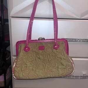 Stylish Pink and Green Women's Bag